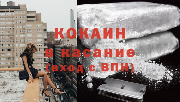 прущие грибы Арсеньев