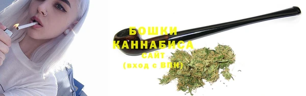прущие грибы Арсеньев