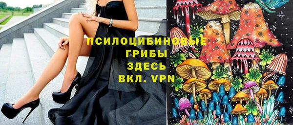гидра Балахна