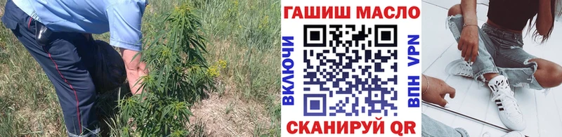 наркошоп Северо-Курильск Дистиллят ТГК гашишное масло