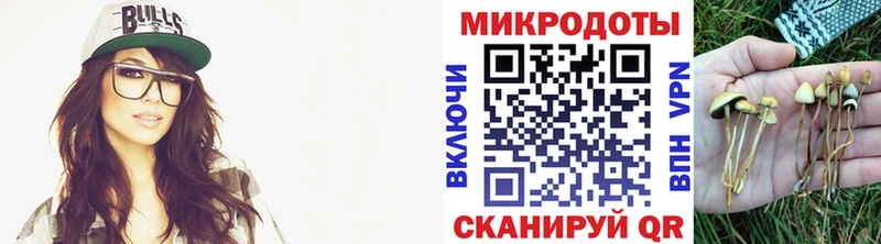 Галлюциногенные грибы Cubensis  Северо-Курильск 